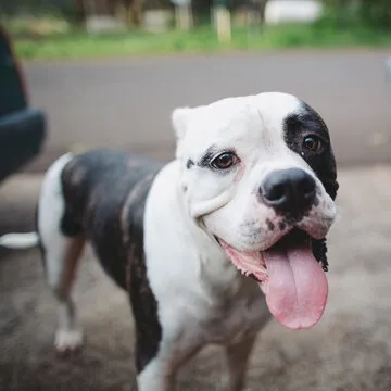 沐鸣2团队的创意时刻